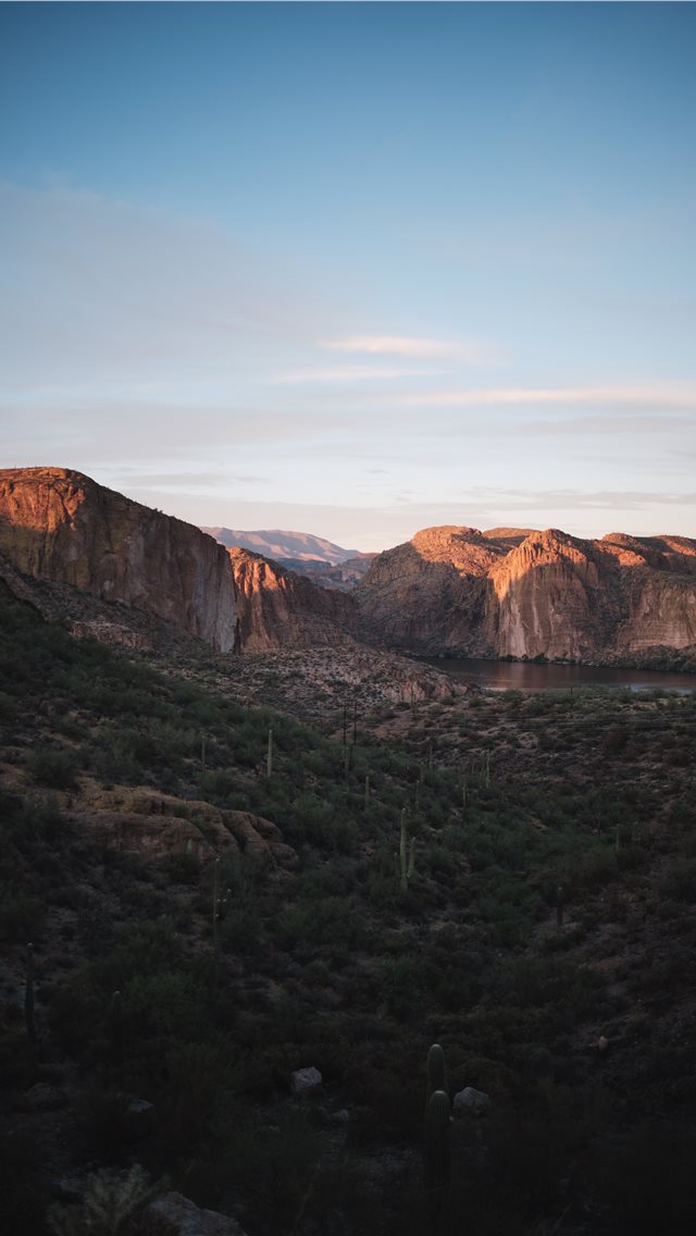 640x1136 Arizona Views - llama iPhone Wallpaper